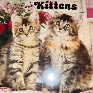 Calendar 2023  i love kittens  16-month‎ calendar freebie
